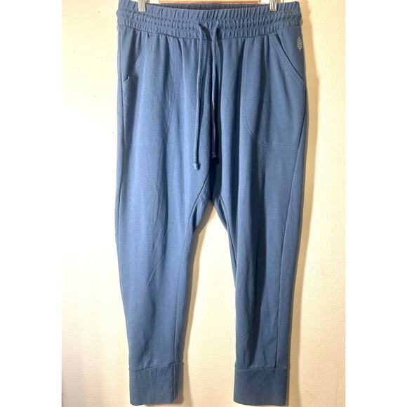 Free people FP Movement Sunny Joggers-Size XL Activewear-Sweat Pants Blue-Silver - Picture 2 of 8